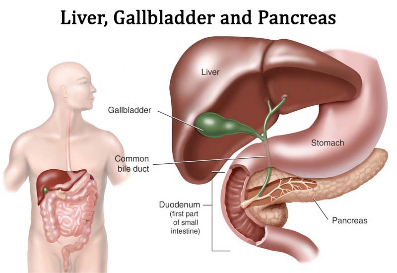 Gallstones Laparoscopic Cholecystectomy